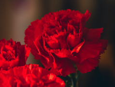 �������ڲƲ�������֪������Щ������