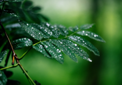 Ů����������ʲô��˼����Ů����ʲô����Σ��