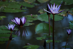 ��Ů������˳�İ��֣��⼸�������������˻����кܶ࿲��