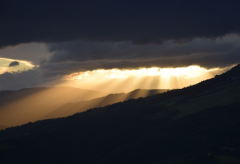 ���ӱ������������Ԣ�� ���ӱ���������ĺ���