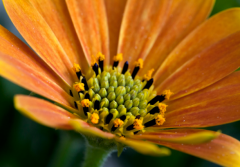 ʮ���ܶ�������ЩӰ�죬��ô����ʮ������