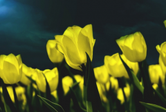 ���ҹ��˺�̫������ͬʱ���ֻ���ô�� ����һ����ֺò���