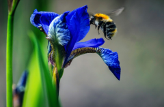 ���е����ε�������ʲô���壬���е���Ҫע��ʲô