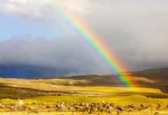 ��Ǯ����Ф�У��⼸����Ф�в��˺�