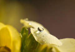 ���ֿ����䣬����ͶԷ��Ƿ���Զ�������