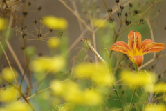 ���е����ε����ʲô��˼����ͬ��������ξ�����