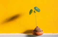 ��̧ͷ��Ԣ�������������������������