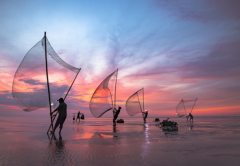 ����ƫ�����˵���Ϊ�β��ã�ԭ�������