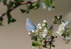 ������������Ե���⼸��ʱ��γ������˻��������Ҹ�