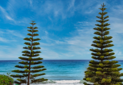 91������Ů����״�� �������Ӧ��֪���ļ���ע������