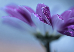 �����ε��Ҵ����������ʲô���Ͷг��йص��ξ�����