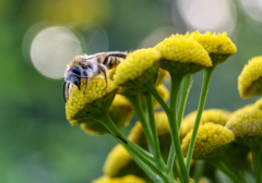 ������⣬һ���������������