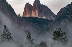 ���ɷ��ʲô��˼���µ¹����ܻ�����ɷ��