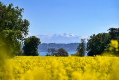 �����Ů�˵�������������Ů�˲�����İ��Ͳ�Ҫȥ����