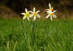 ������������ ���ܻ�����һЩ�������ս������