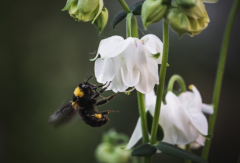 ��ο����Լ��İ��֣����Դ�����������ֲ鿴