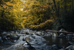 �����ջ�����ô�� ��һ�������Ҹ��Ļ���