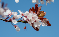 �����ε�����©ˮ�˵ĺ��壬���Ĳ��Ǻܽ���