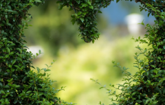 2023�����겻����������Ф����3��������ʱ��Ҫע��