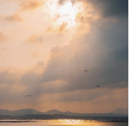 �����İ�������Щ������������Щ�ص���