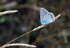 ���������������������ܣ�������ʱ��Ҫע��ʲô