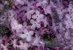 �����ε�����ɫ����ʲôԭ��Ҫ��ν���ξ�