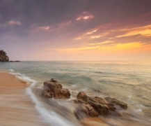 82�������еĻ���״���������82�������еĻ������Ҹ�