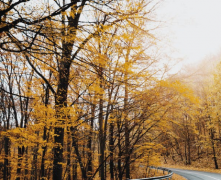 �����ε�����������ˣ���������4��ԭ���µ�