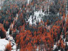 ��������������ƣ�����������Ļ���֮·�Ǻ��ǻ�