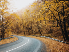 �����ε�Ĺ԰�͹ײ���ζ��ʲô��Ӧ�����Ӧ��