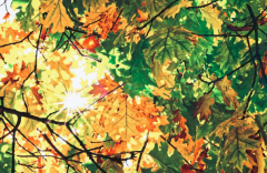 83������Ů�˵Ļ�����Σ���ô�������û�������Զ