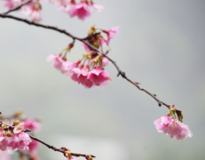 ������¹������Ĵ���֣�����һ������