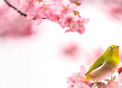 �𼦵Ļ�����������ô���ģ�Ҫ��ôȥ����������ì��