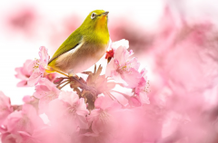 �ε�������������ָ���� �����������н��ǺͲ�����