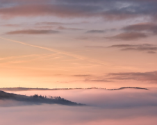 97����ţ�Ļ���״������ô��Ӫ�û���