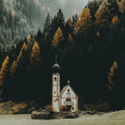 ���ɷ��ʲô��˼���������ɷʲô����