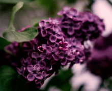 ��Ů�����ϻ飬�������ʺϽ����