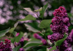 �ε��������Ʋ��ӵĸ������ ���ǵ���������������ʹ��