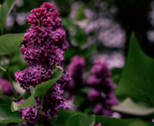 �ε����������䶾Һ ����ξ�����ʾ�;���