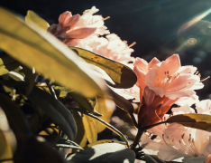 1969������Ů�˵Ļ�����ô�����������֪����