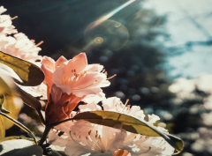 ��Ф���·��һ������⼸���µ���Ů�һ�������û��׷