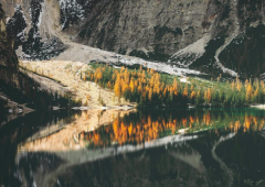 ���ݳ�����һ�ִ�ͳ�������⣬ԭ�����ֵ���Ļ���λ��ô��