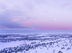 �й�ʮ��ط���ɫ��ʳ��  ��������С�Ի�����Щ