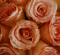 ���ֿ��һ��˷������һ��˺õ�����ʲô����