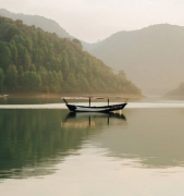 �ε�����������ͷ�ϵĺ��壬�ε���ͬ��������ĺ���