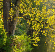 Ů�˳�����ʱ��������Ҫ �⼸��ʱ�������Ķ���ŮТ˳