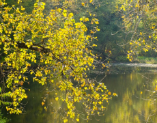 ƫӡ�񸻹�������ʲô���������������