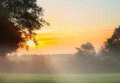 ��δ������ô�� ���ǵĻ���������������