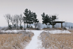 97����ţŮ�Ļ����磬���������Ĵ���