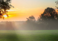 �ε����صصĹ�ҧ���� ���ͷص�����������